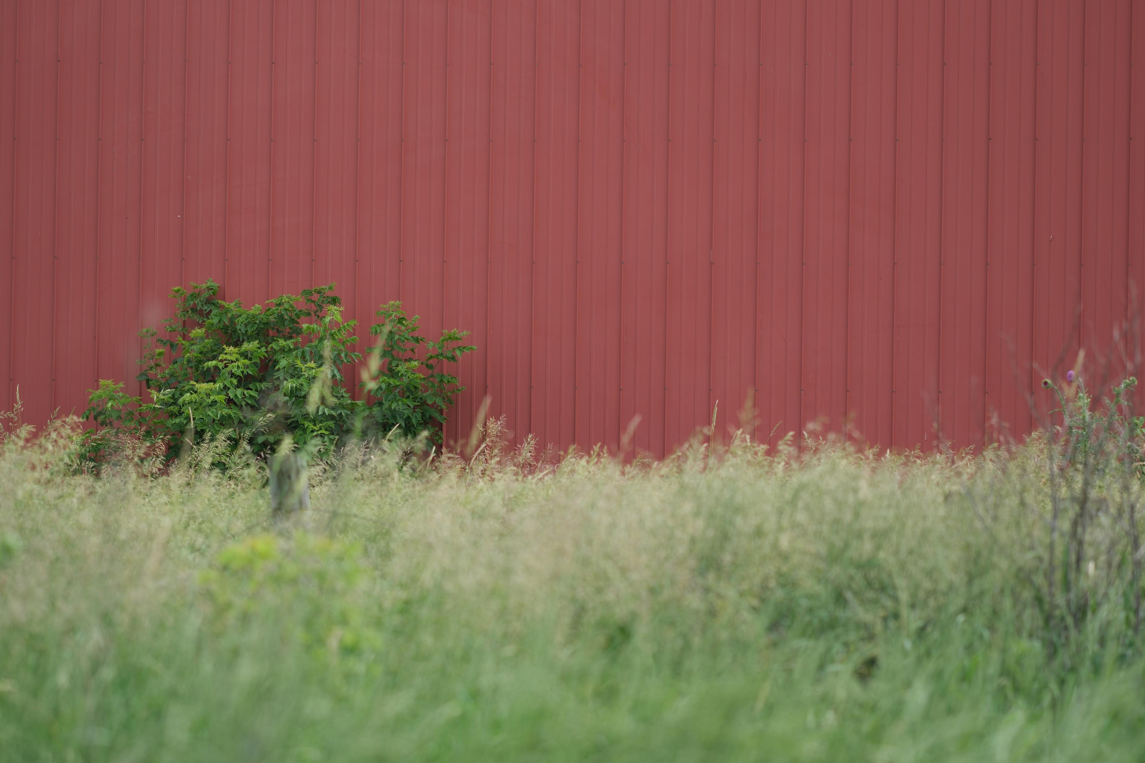 Red Wall